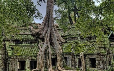 Kambodża ciekawostki – część 3