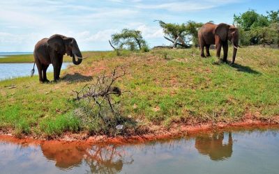 Zimbabwe ciekawostki – część 3