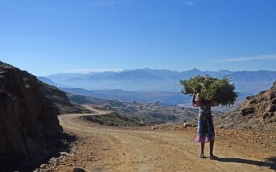 69 ciekawostek o Lesotho