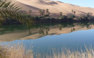 73 ciekawostki o Libii