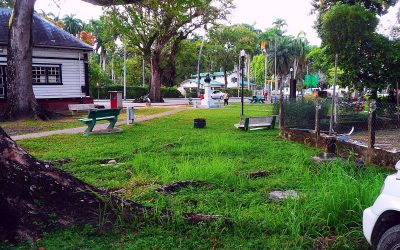 13 ciekawostek o stolicy Surinamu