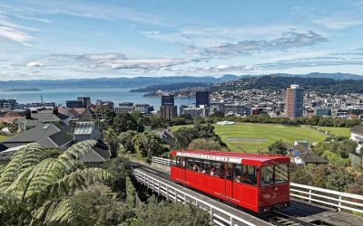 14 ciekawostek o stolicy Nowej Zelandii