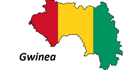 Gwinea geografia