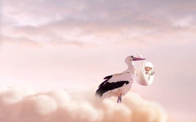 Ilość narodzeń i zgonów