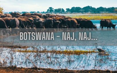 Botswana rekordy