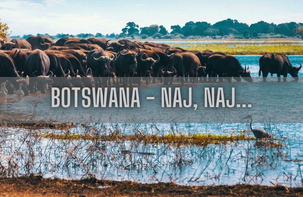 Botswana rekordy