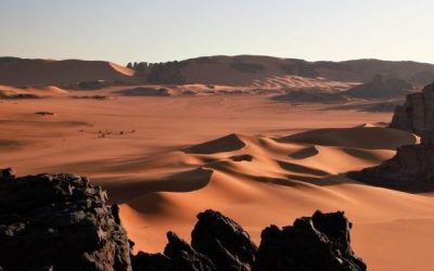 119 ciekawostek o Algierii