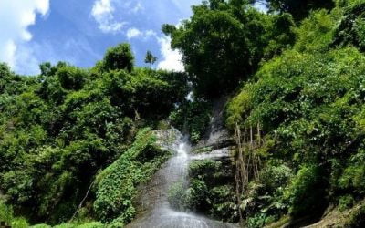 109 ciekawostek o Bangladeszu