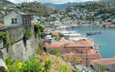 66 ciekawostek o Dominice