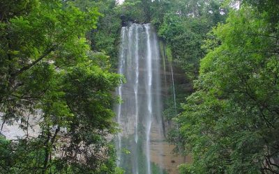 62 ciekawostki o Gwinei