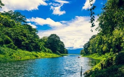 86 ciekawostek o Hondurasie