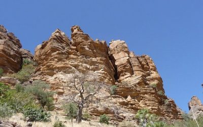 Mali ciekawostki – część 3