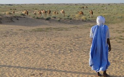 Mauretania ciekawostki – część 2