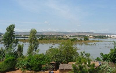 82 ciekawostki o Nigrze