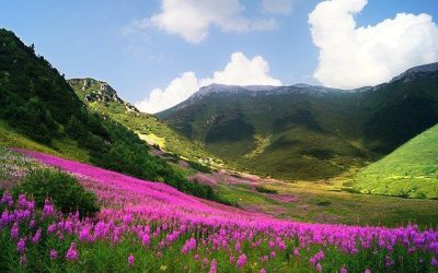 106 ciekawostek o Słowacji