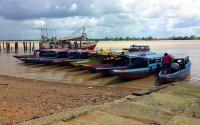 76 ciekawostek o Surinamie