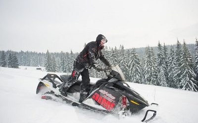 Na safari… do Zakopanego?