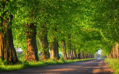 Podróż służbowa na Mazury – gdzie się zatrzymać?