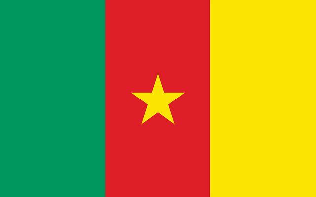 Kamerun flaga
