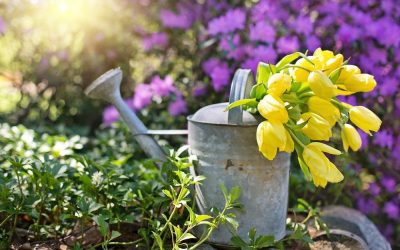 Choroby roślin, które zdarzają się w każdym ogrodzie