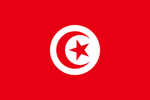 Tunezja flaga