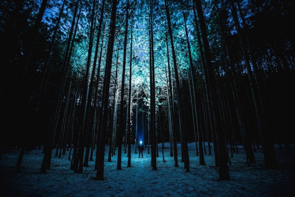 latarka w lesie