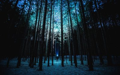 Za ciemno? Latarka szperacz oświetli Ci drogę!