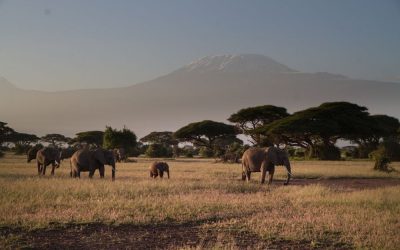 10 ciekawych miejsc w Kenii, które warto zobaczyć