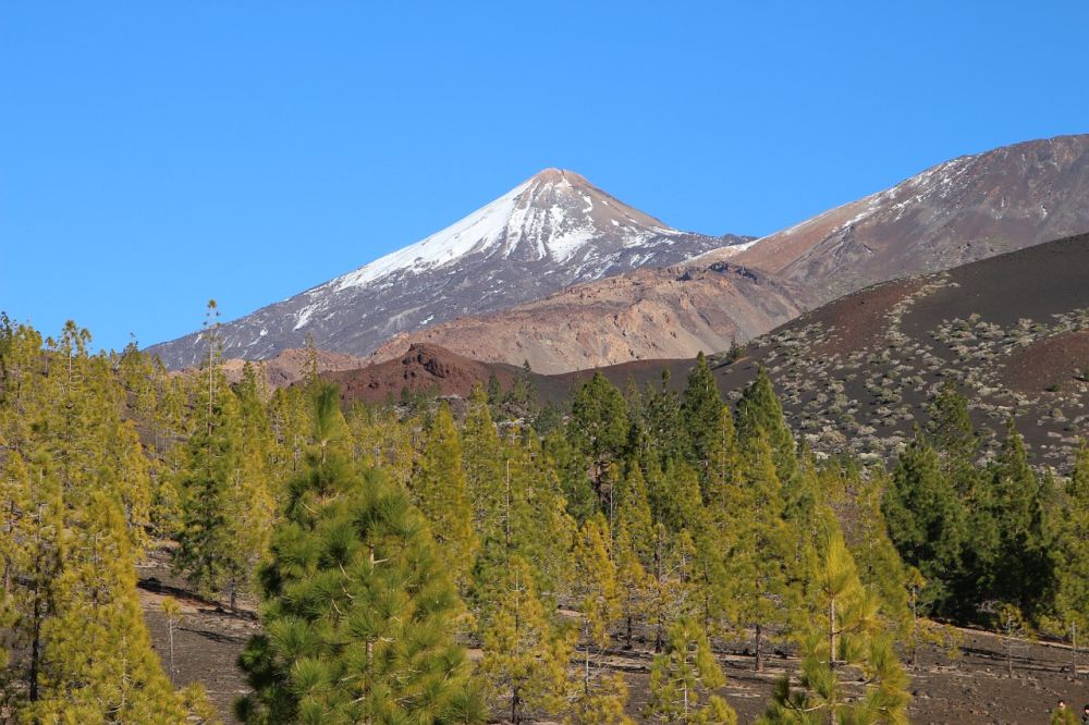 Park Narodowy Teide grafika