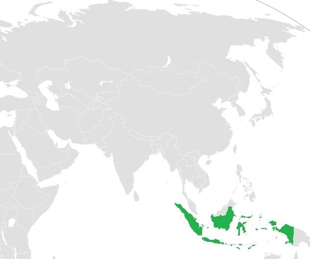 Język indonezyjski grafika