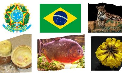Symbole narodowe Brazylii