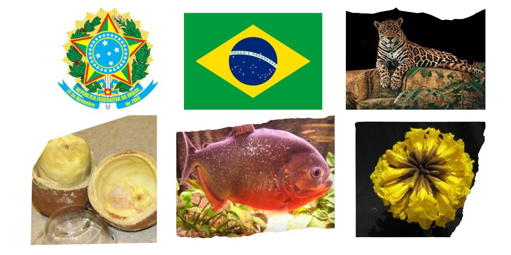 Symbole narodowe Brazylii