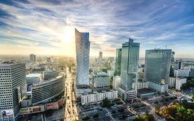 Na co powinny zwracać uwagę firmy w Warszawie przy wyborze specjalisty SEO?