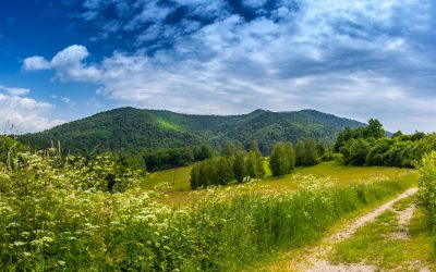 Atrakcje Bieszczad na każdą kieszeń. Sprawdź najlepsze propozycje!