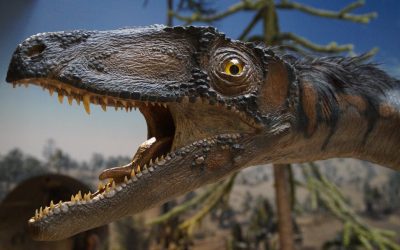 Park rozrywki i dinozaurów “Dinolandia” w Inwałdzie – warto go odwiedzić już dziś