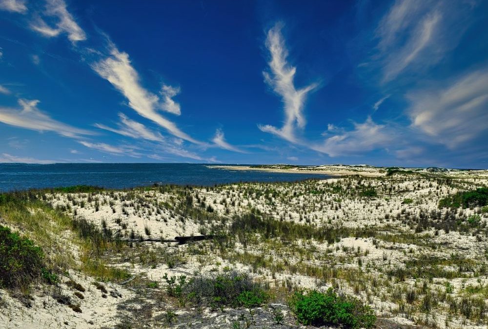 14 ciekawostek o stanie Delaware