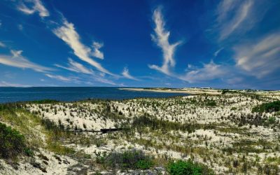 14 ciekawostek o stanie Delaware