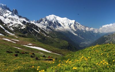 Mont Blanc ciekawostki