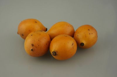 Owoc narodowy Boliwii