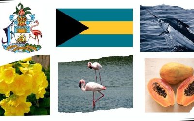 Symbole narodowe Bahamów