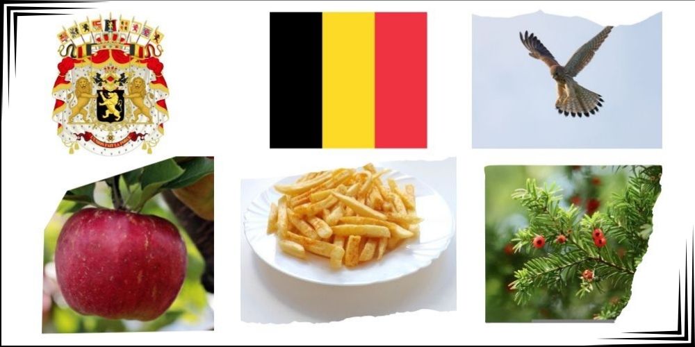 Symbole narodowe Belgii