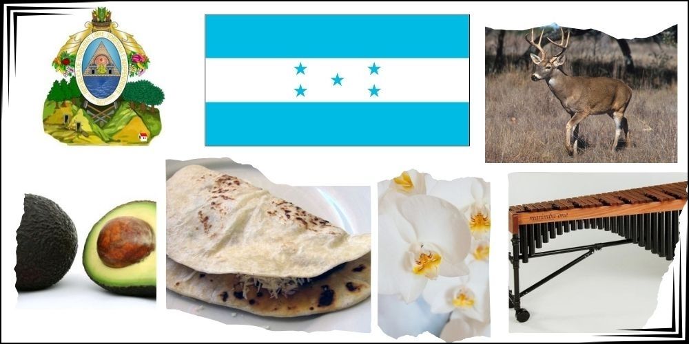 Symbole narodowe Hondurasu