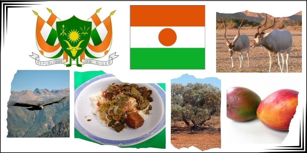 Symbole narodowe Nigru