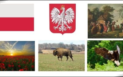 Symbole narodowe Polski