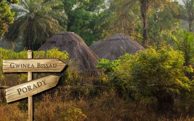 Gwinea Bissau porady