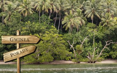 Gwinea porady