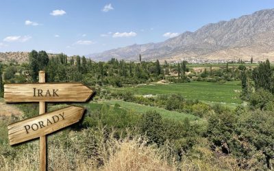 Irak porady
