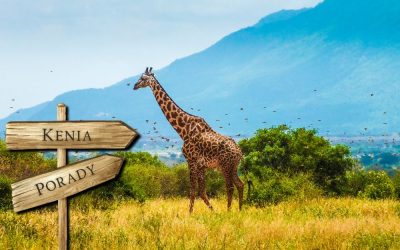 Kenia porady