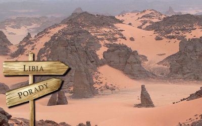 Libia porady