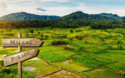 Malawi porady